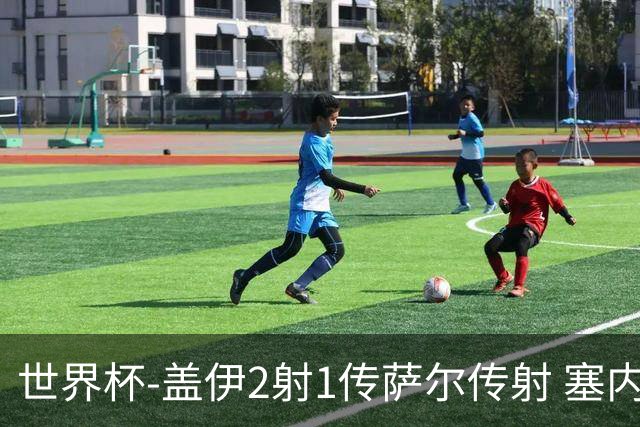 世界杯-盖伊2射1传萨尔传射 塞内加尔5-0十人伊拉克第三