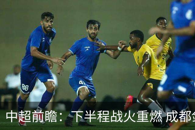 中超前瞻：下半程战火重燃 成都剑指三分申花求反弹