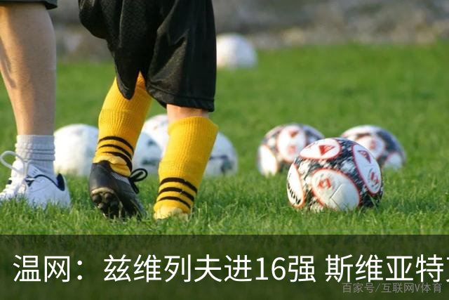 温网：兹维列夫进16强 斯维亚特克、莱巴金娜出局